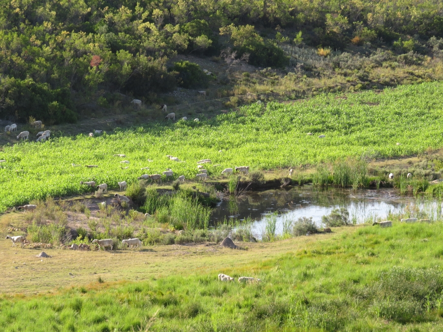 3 Bedroom Property for Sale in Joubertina Eastern Cape